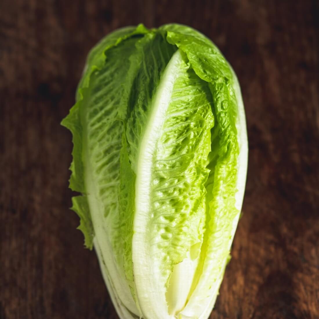 Organic Lettuce x1 / Riverford