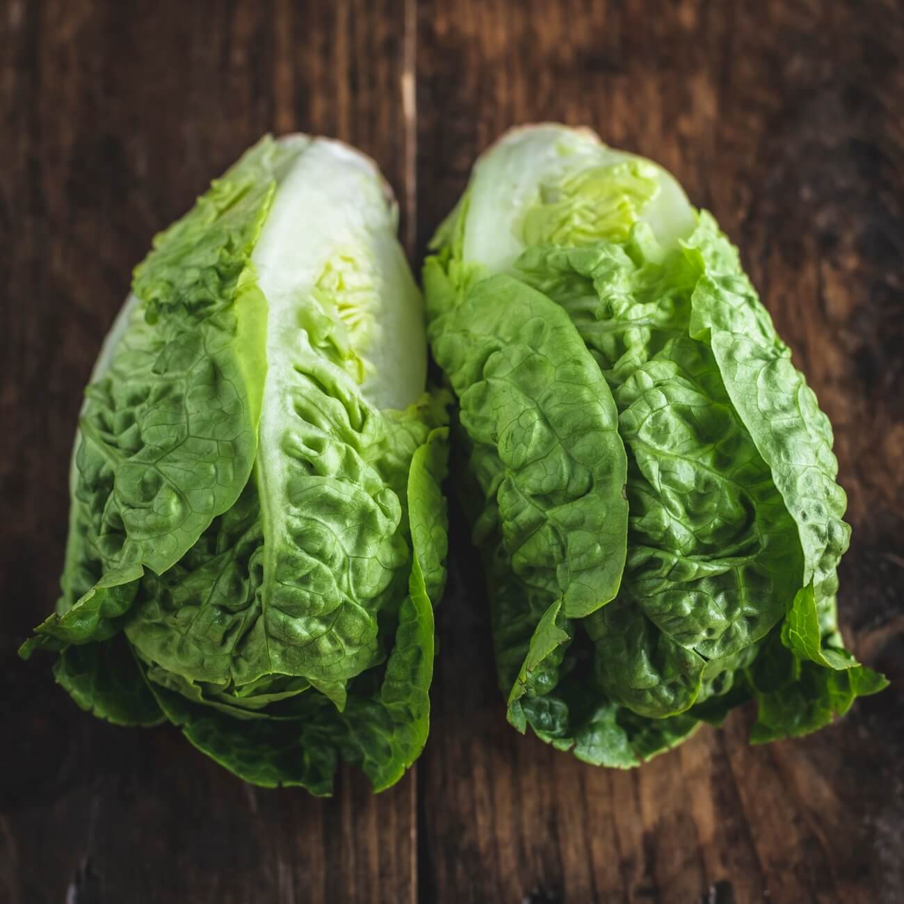Little gem lettuce