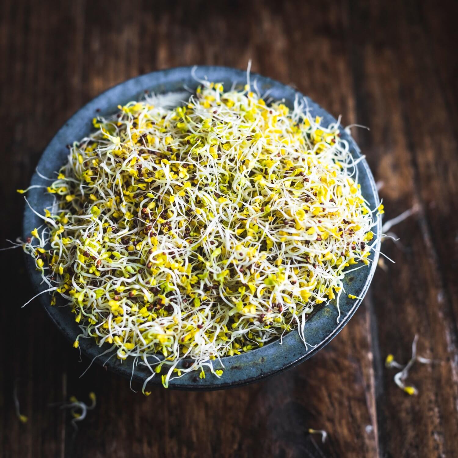 Organic Broccoli sprouts 100g / Riverford