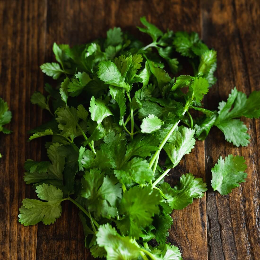 Simply Organicu00ae Cilantro | Simply Organic