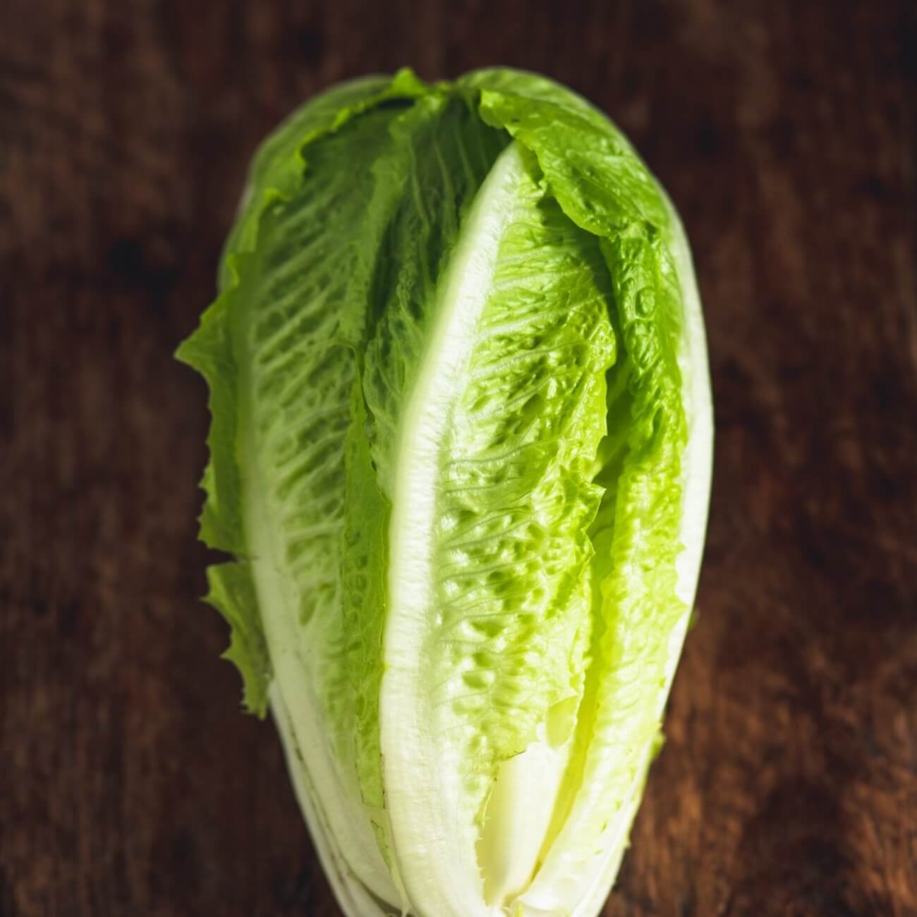 Cos lettuce