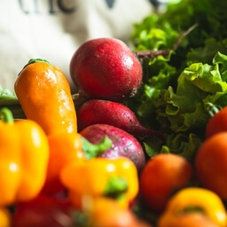 Salad boxes subcategory