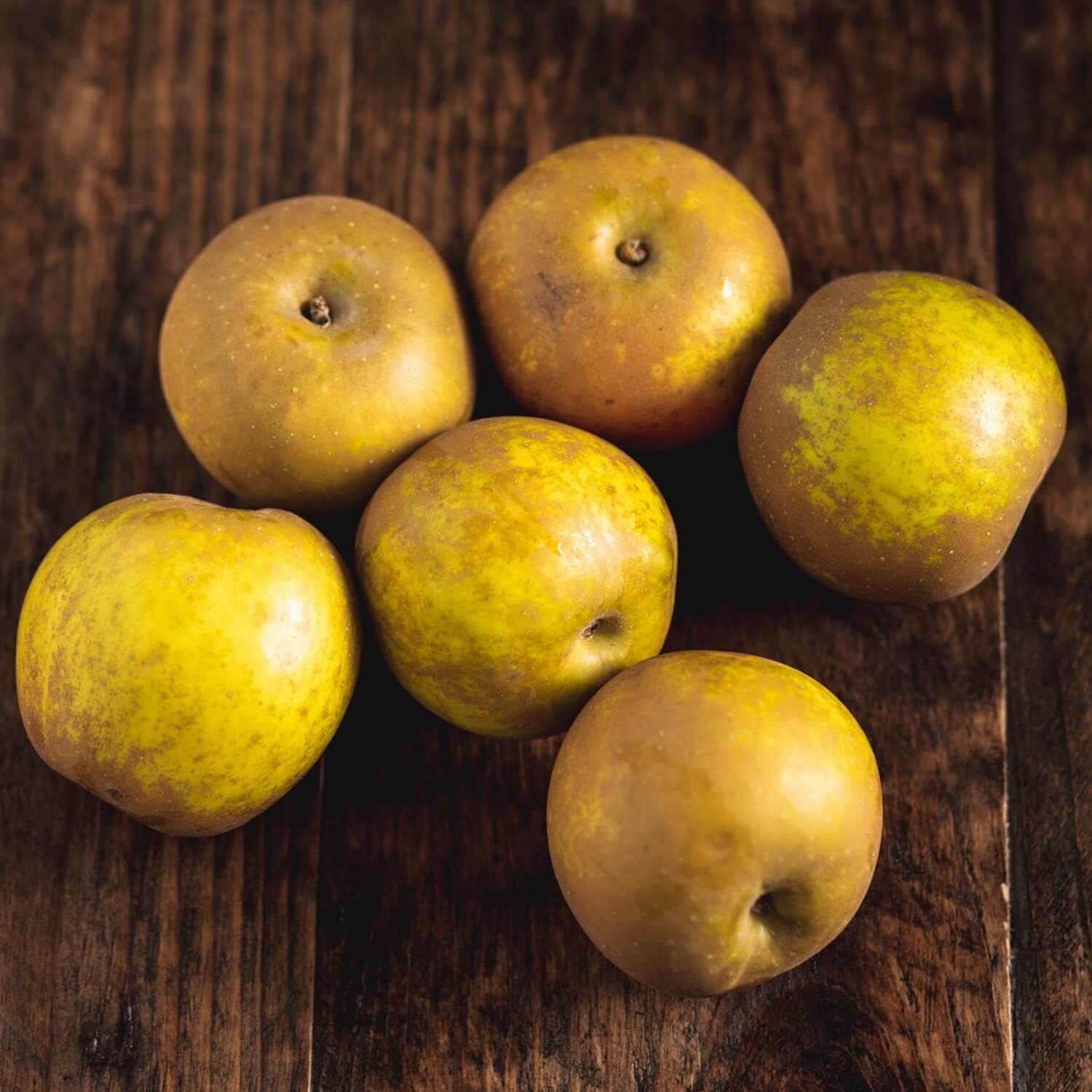 Organic Russet apples 750g / Riverford
