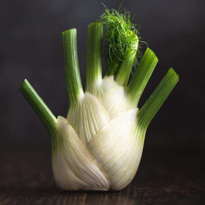 Organic Fennel x1 / Riverford