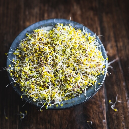 Organic Broccoli sprouts 100g / Riverford
