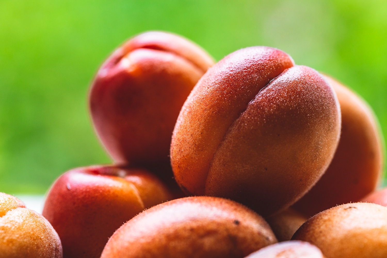Apricots