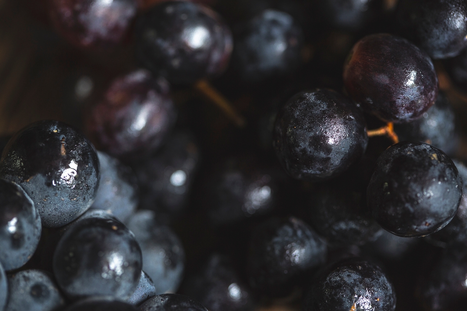 Seedless black grapes