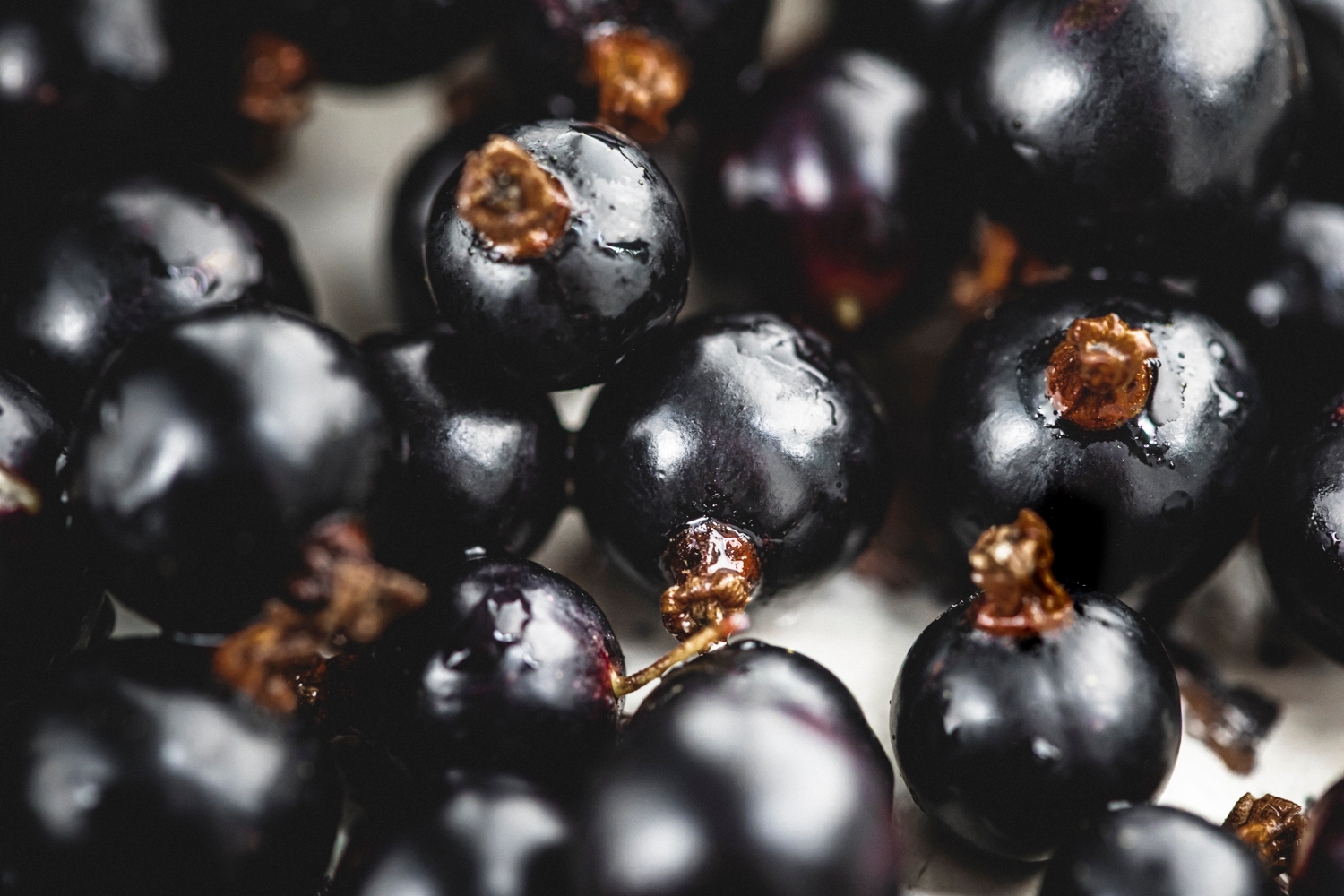 Blackcurrants