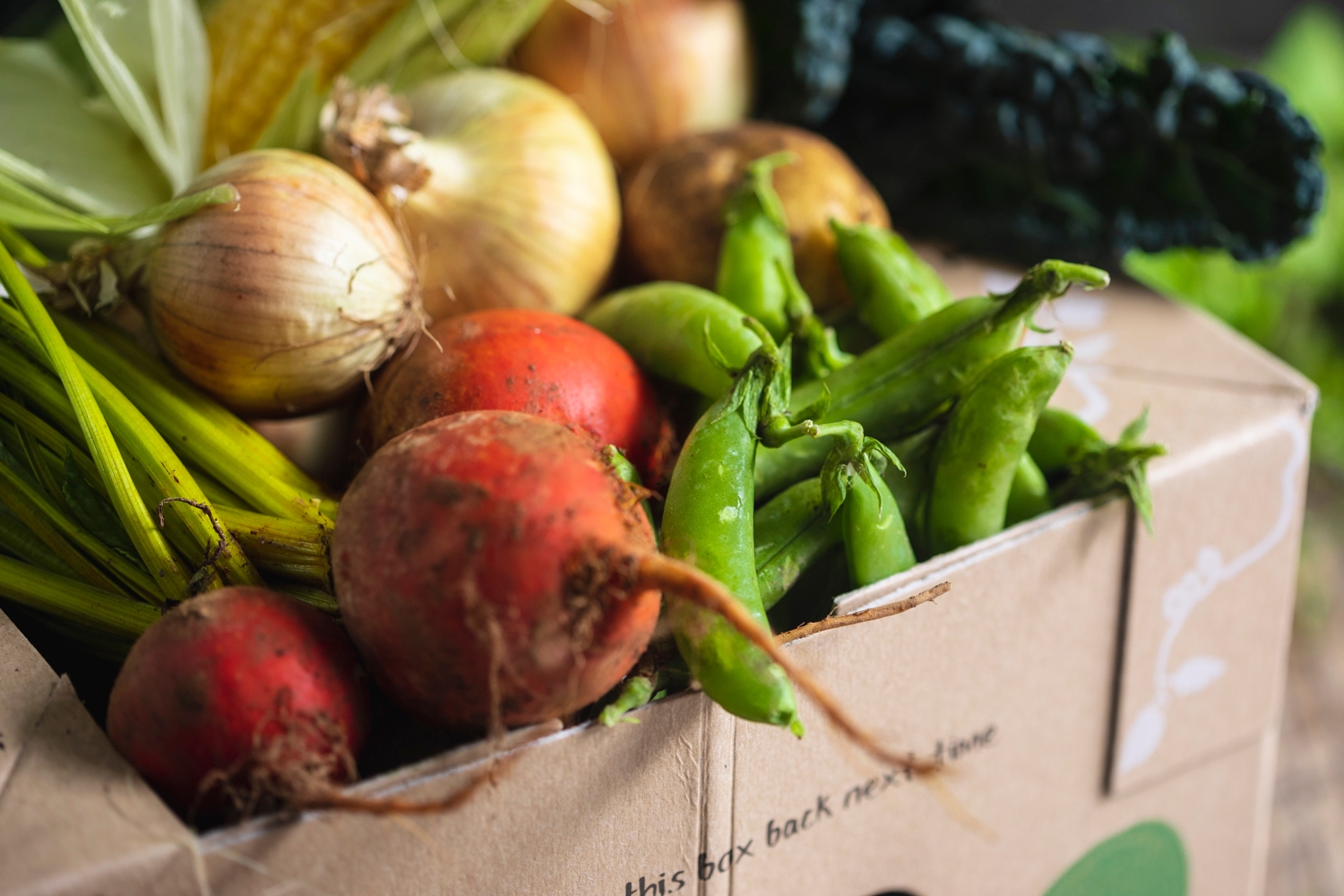 organic food box