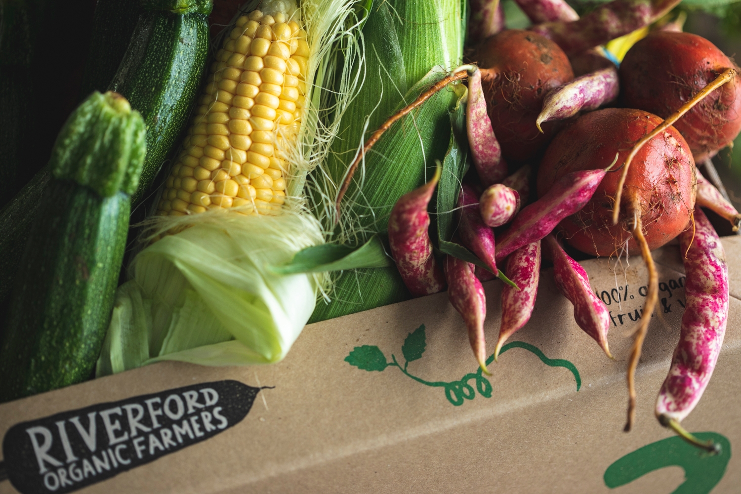 Seasonal organic veg box – large