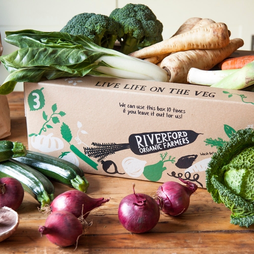 Seasonal organic veg box – large