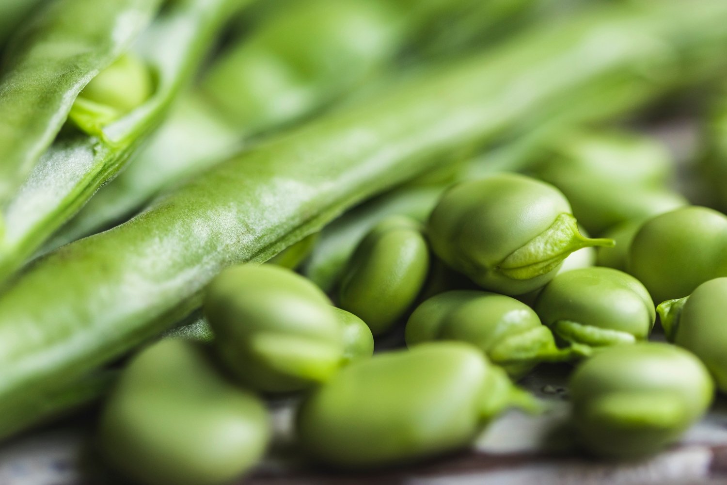 Broad beans