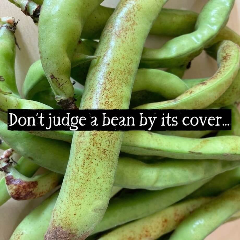 Organic Broad beans 750g / Riverford