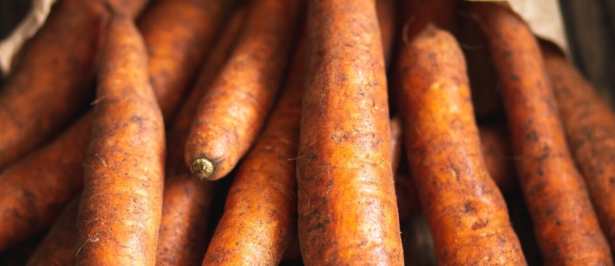 Organic Carrots 1.5kg / Riverford