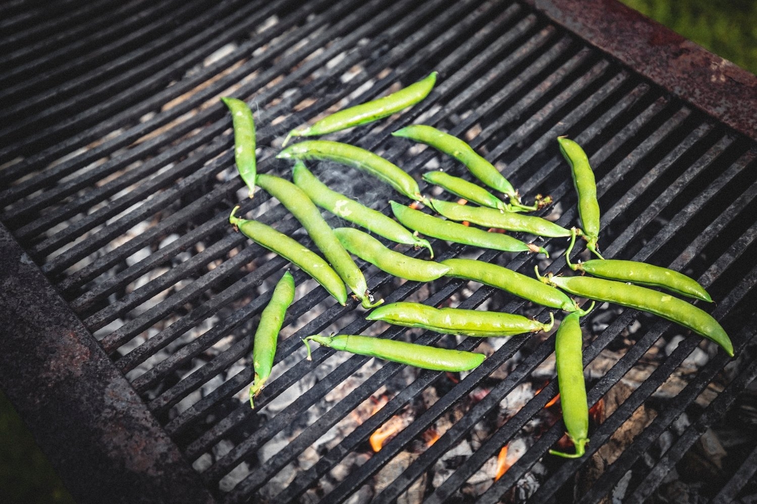 BBQ