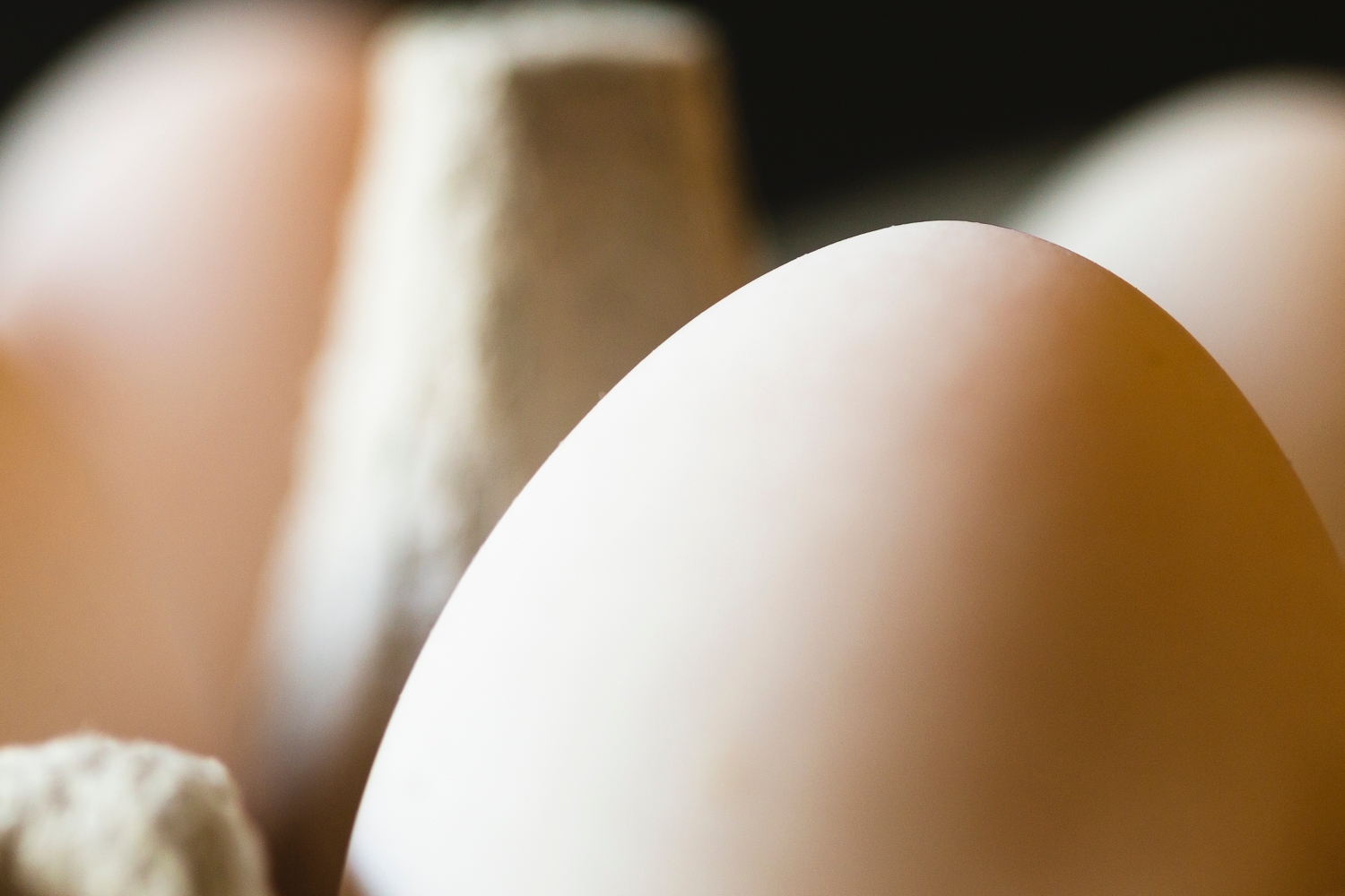 Duck eggs