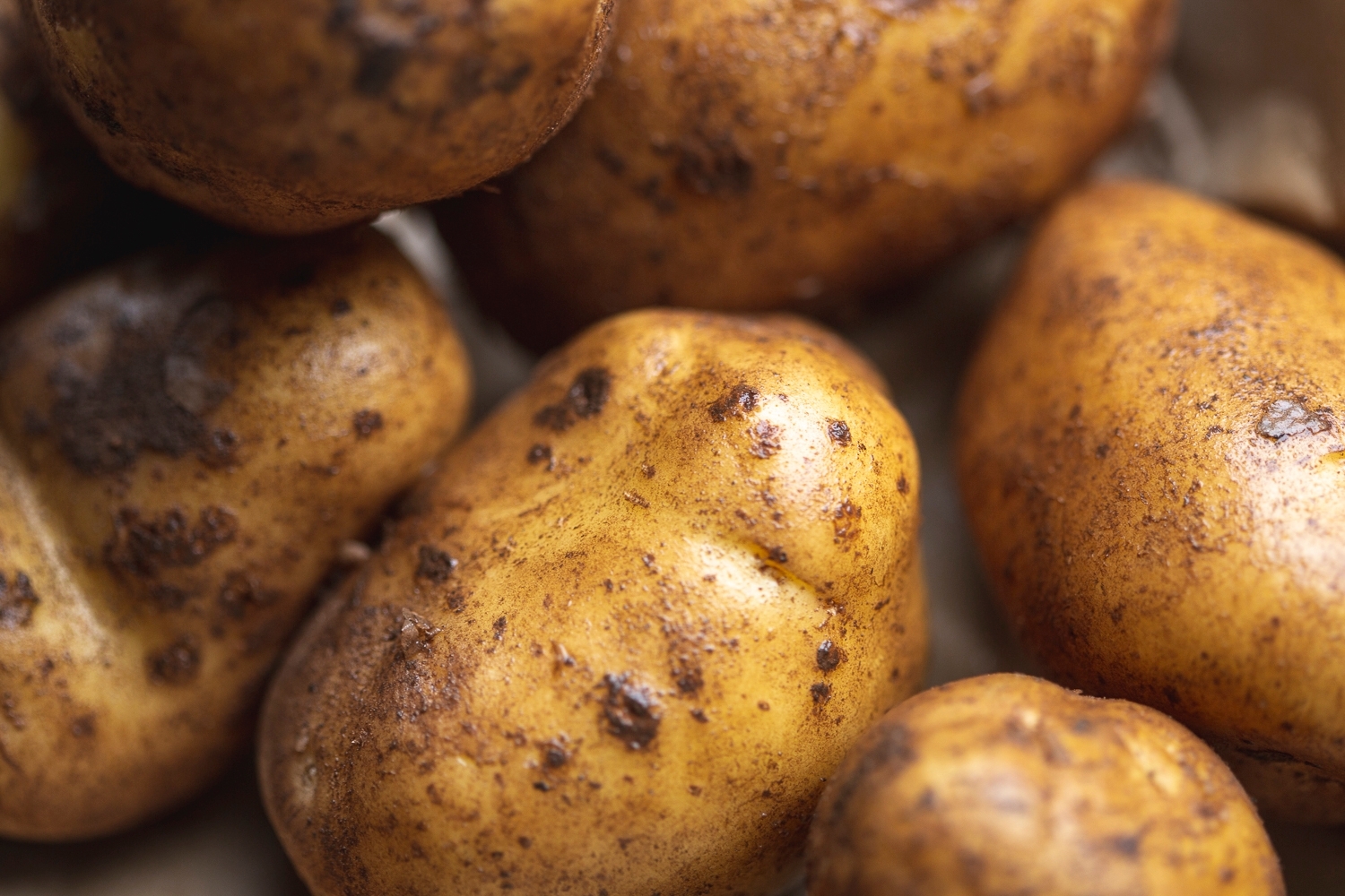 jersey royal potatoes