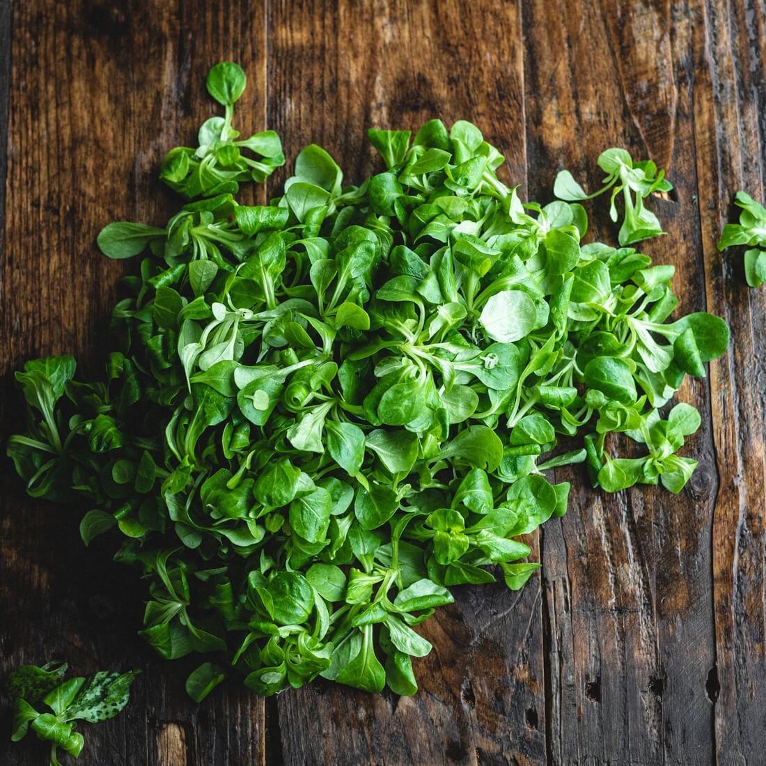 Organic Lamb's lettuce 150g / Riverford