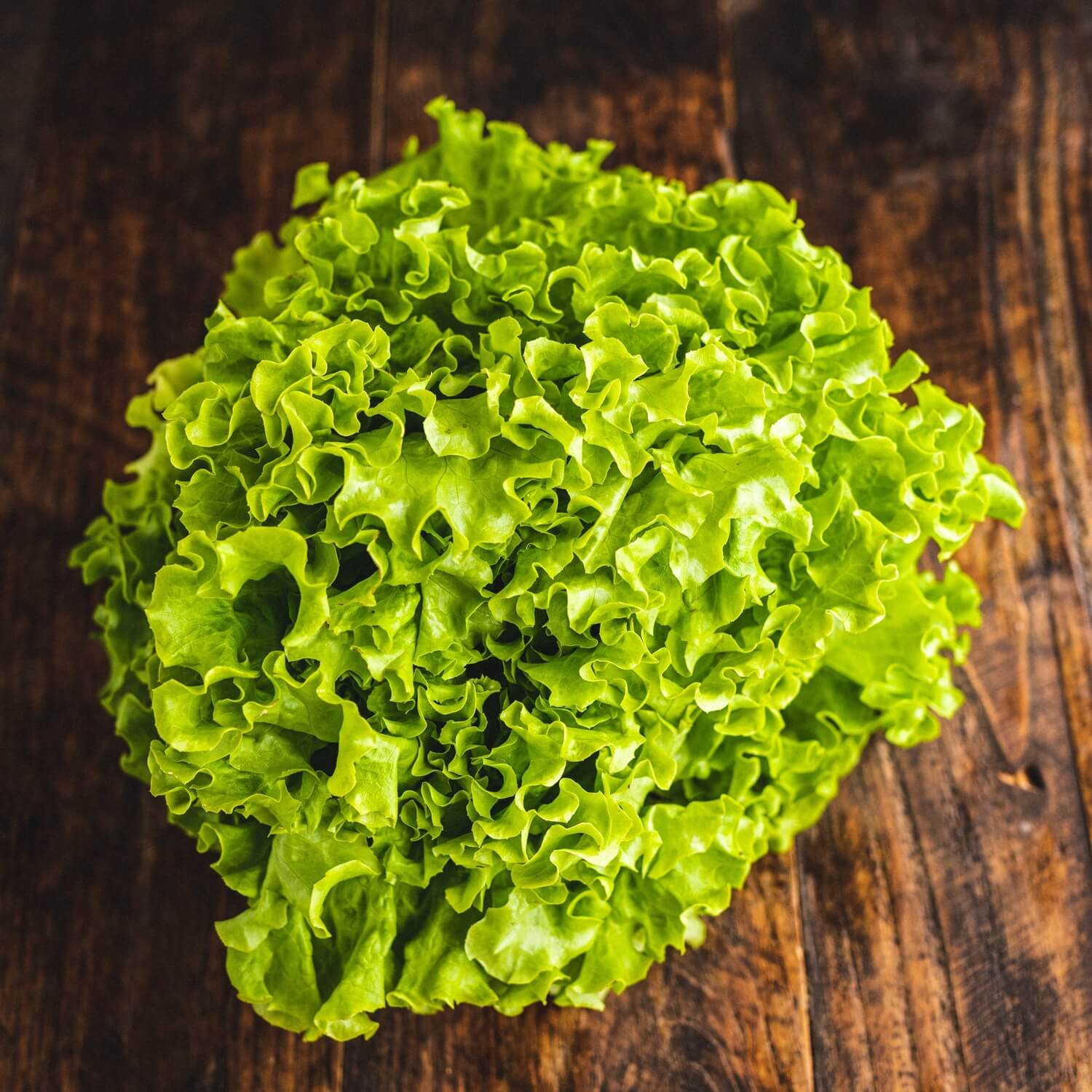 Organic Lettuce x1 / Riverford