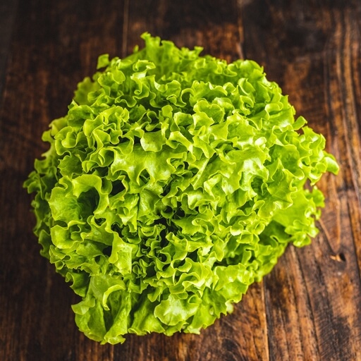 Organic Lettuce x1 / Riverford