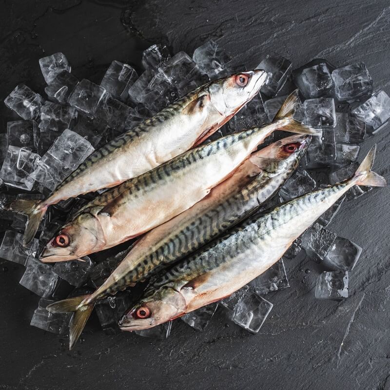 Wild whole mackerel 500g / Riverford