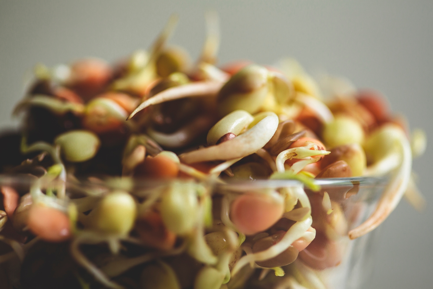 Mixed bean sprouts