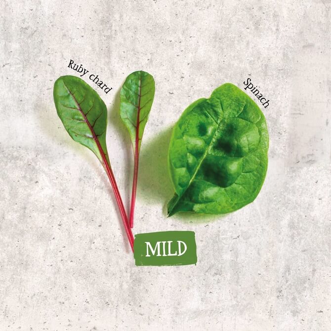 Organic Mixed salad leaves (peppery) 100g / Riverford