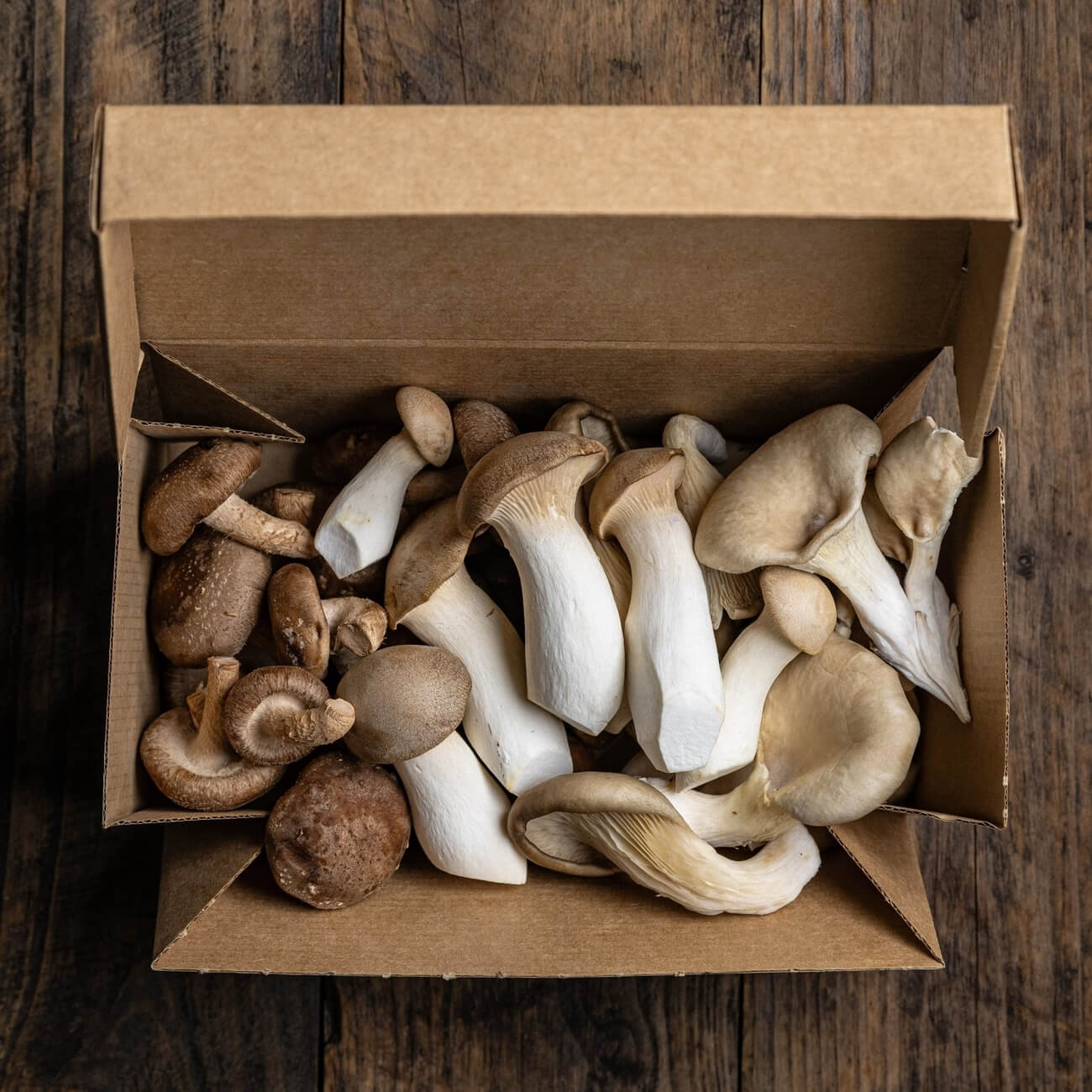 Mushroom Grower Box