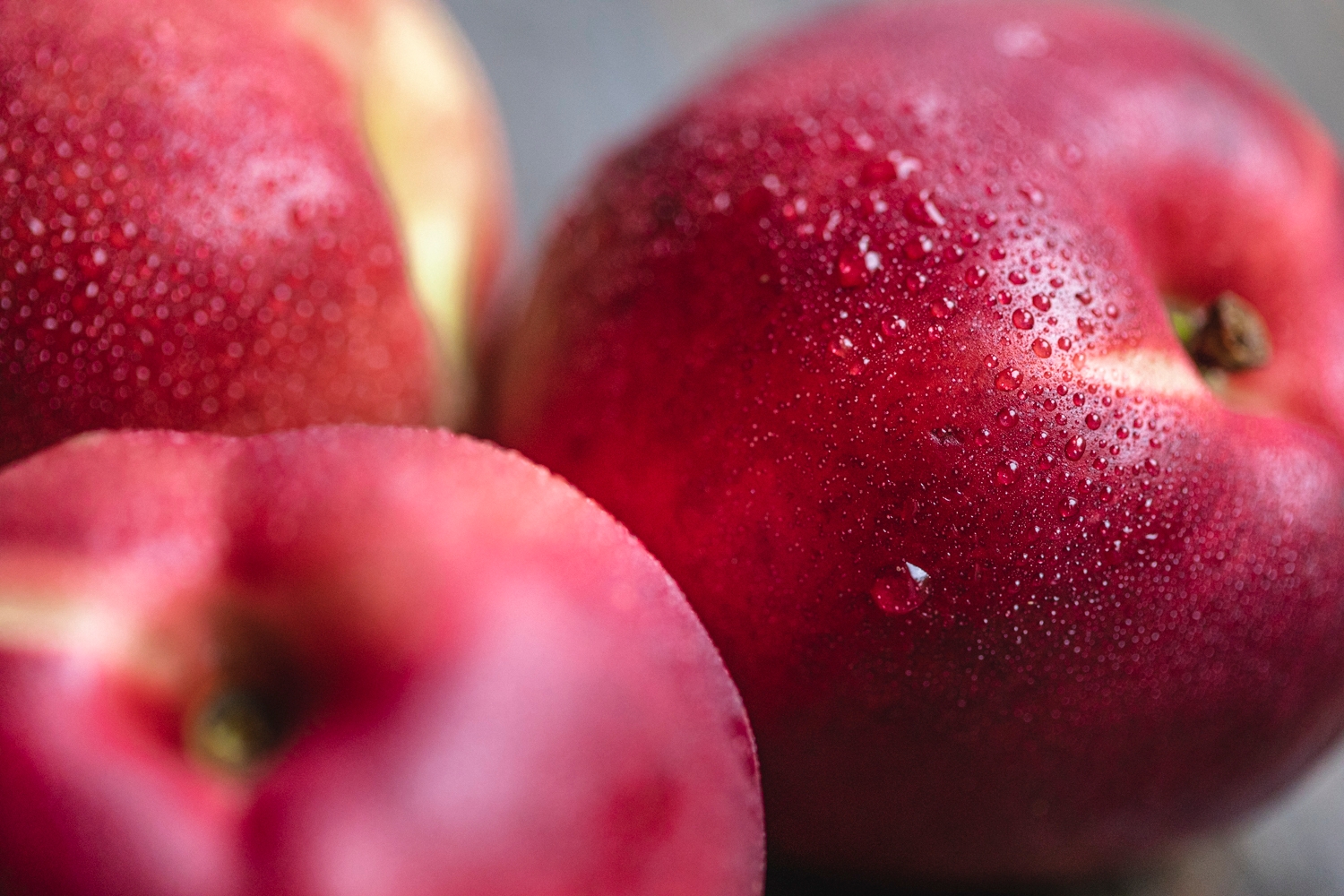 Organic Nectarines x4 / Riverford