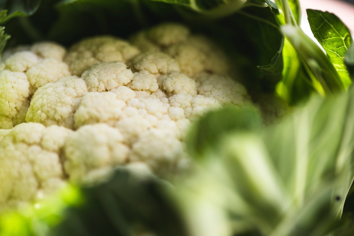 Vegetables