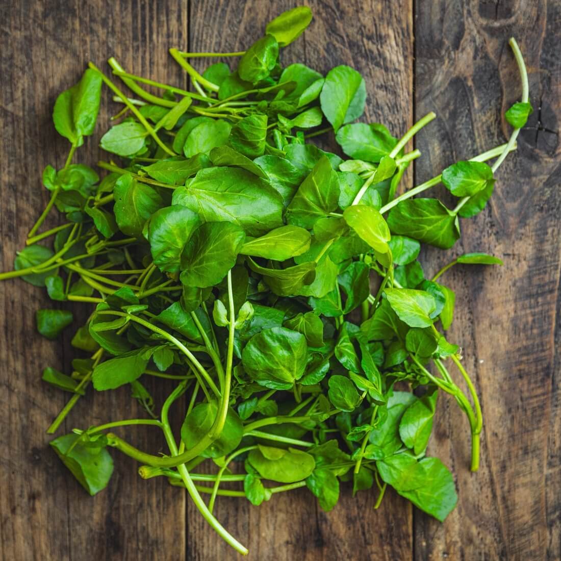 Organic Watercress 80g / Riverford