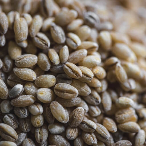 Organic Pearl Barley 400g Riverford Organic Pearl Barley 400g Riverford