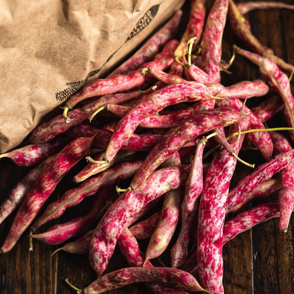 Image of Borlotti beans being produced