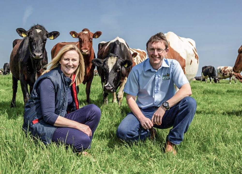 Acorn Dairy / Riverford