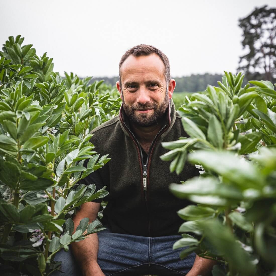 Organic Broad beans 750g / Riverford