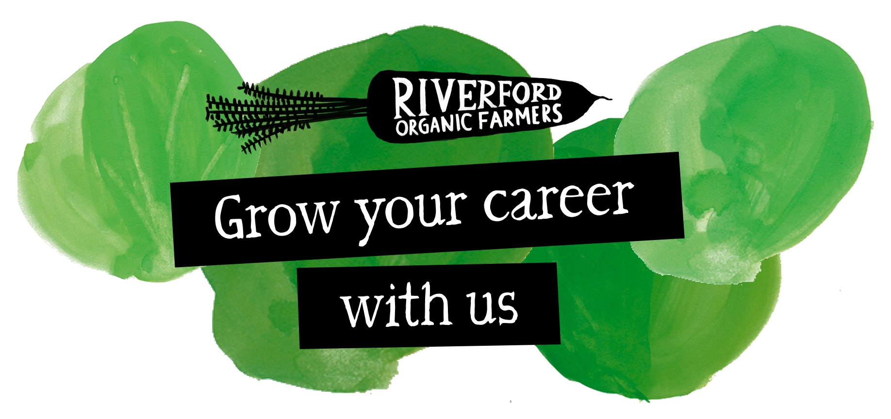 Grow your career with us banner image