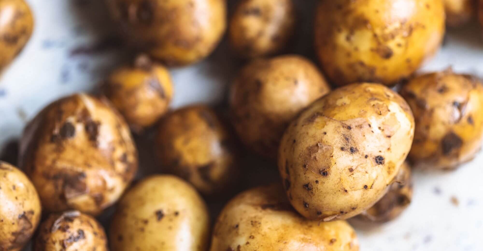 Potato guide / A - Z of Veg / Riverford