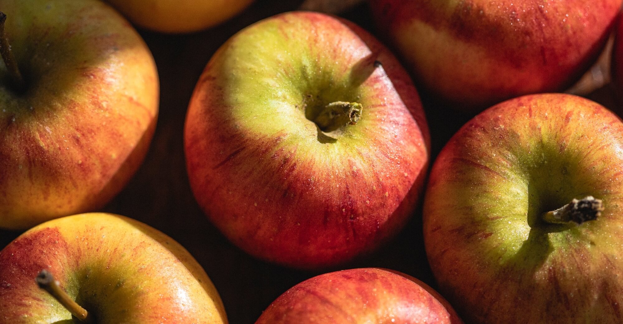 Apple guide / A - Z of Veg / Riverford