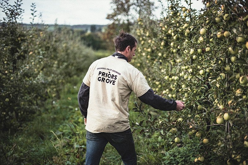 Joe checking apples on Priors Grove Farm