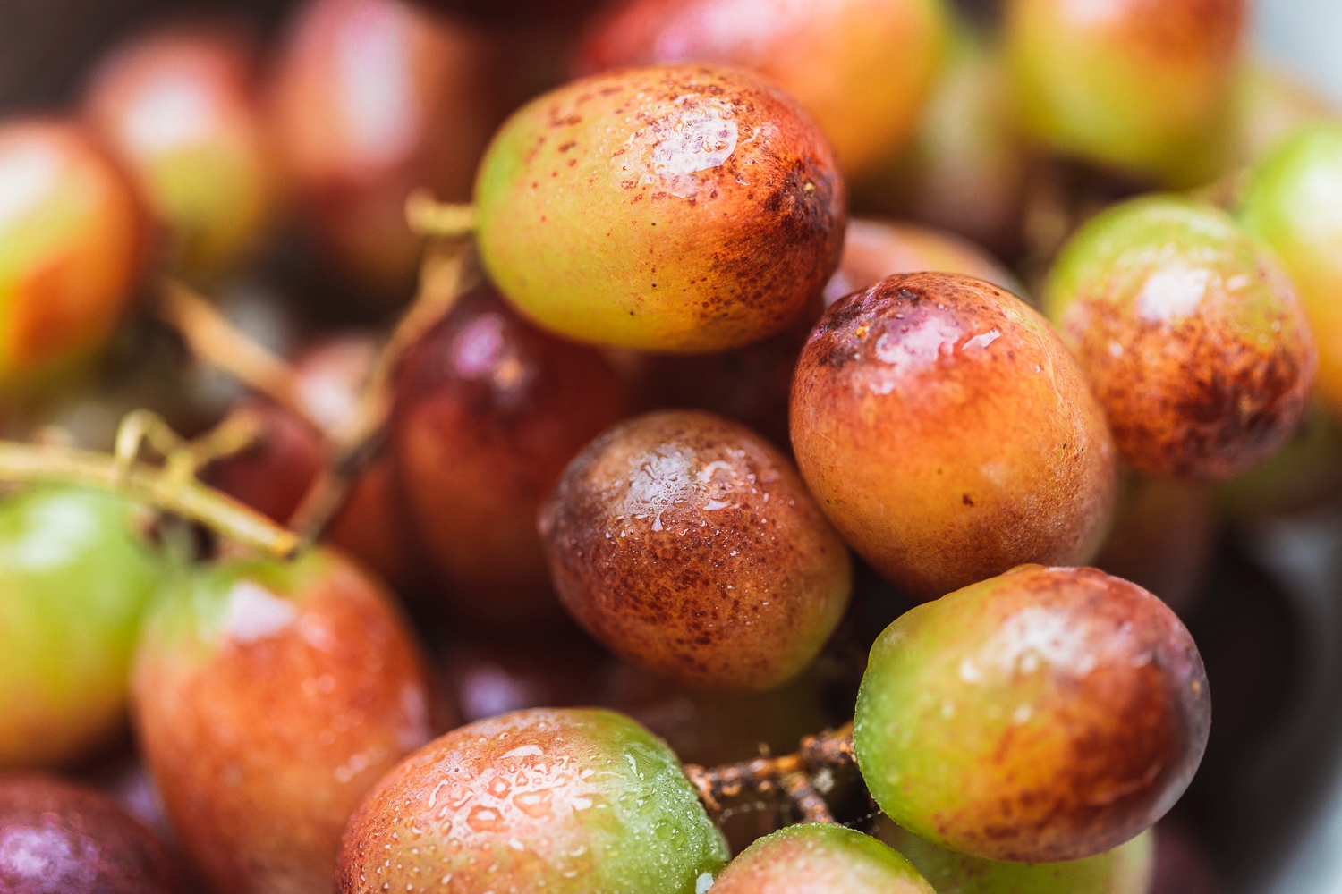 Red seedless grapes