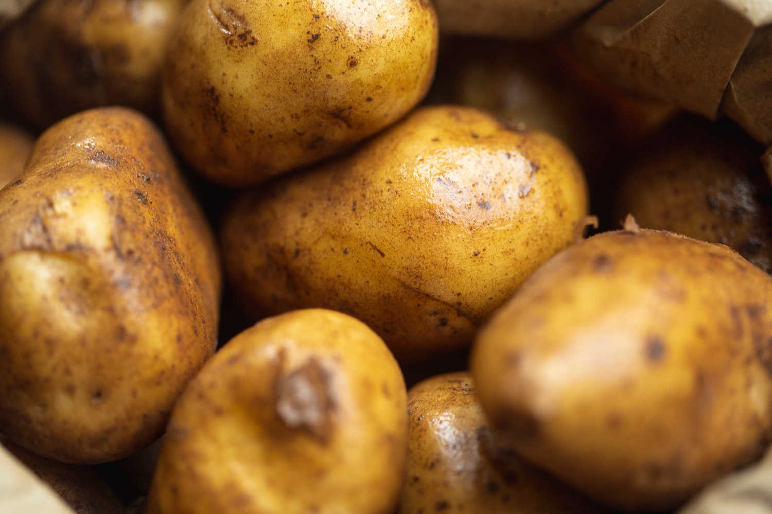 Salad potatoes