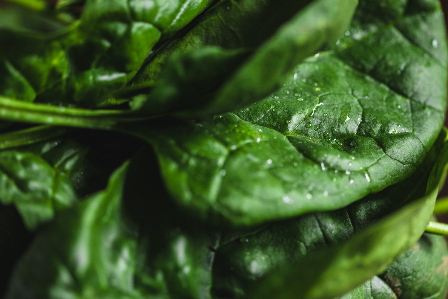 Cooking spinach