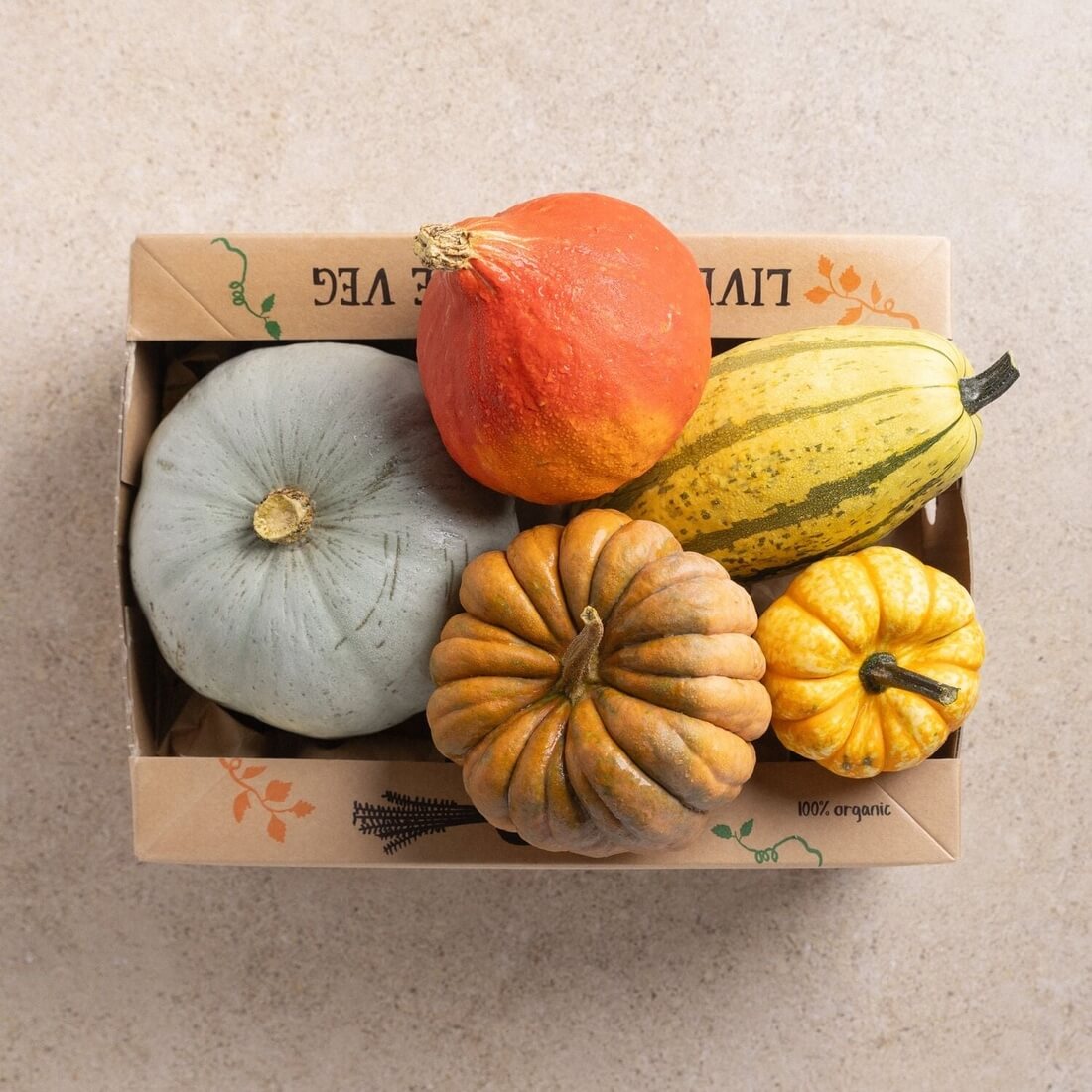 Guy's Squash Grower Box