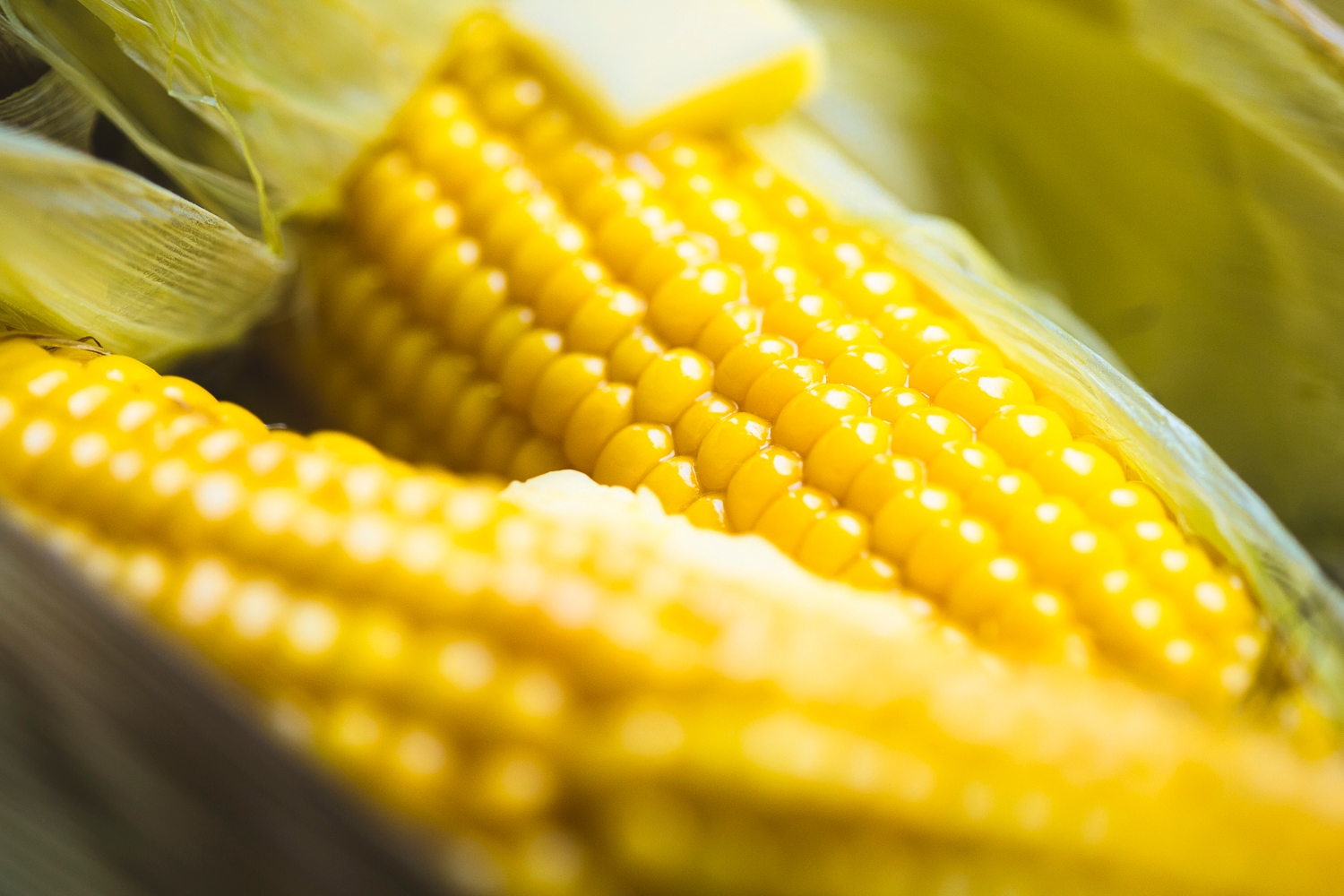 Sweetcorn on the cob