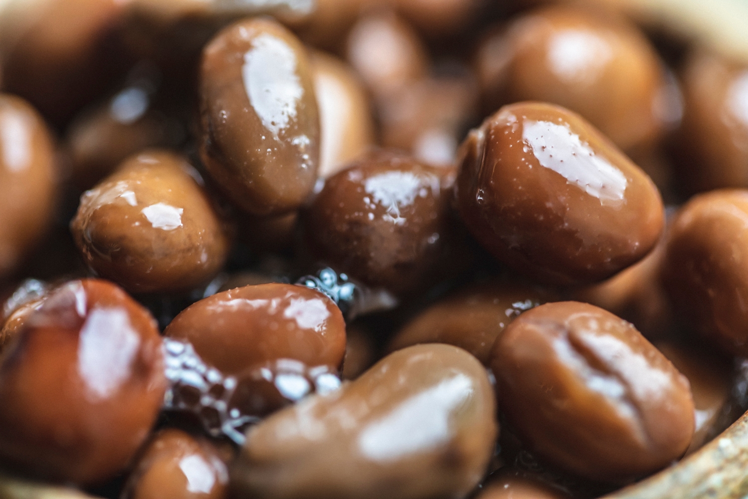 Organic Tinned fava beans 400g / Riverford