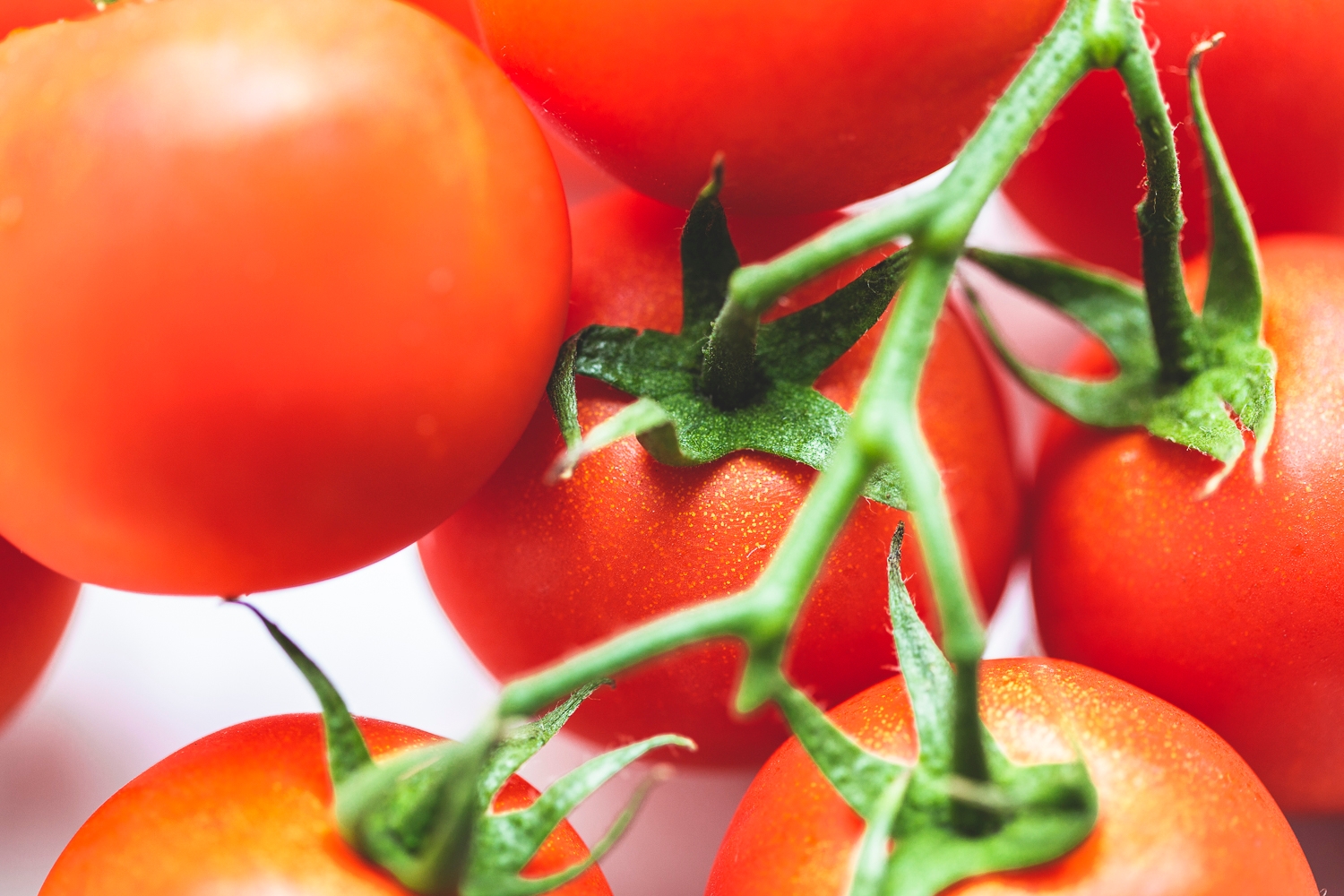 tomatoes-700g-1500x1000-
