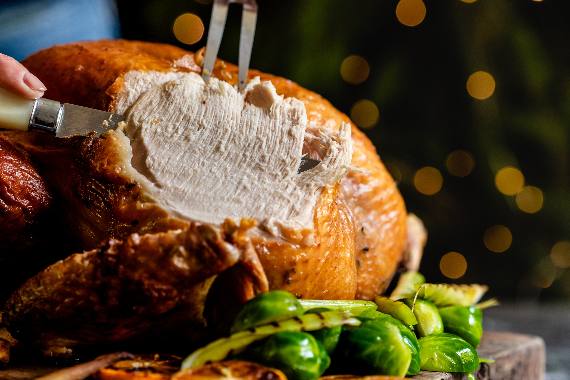 Turkey XXL (feeds 15-16)